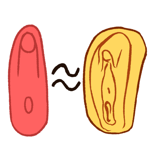 A drawing of a pink, vaguely vagina-shaped blob on the left, and an emoji yellow vagina on the right. There is a small black wavy equal sign between them.